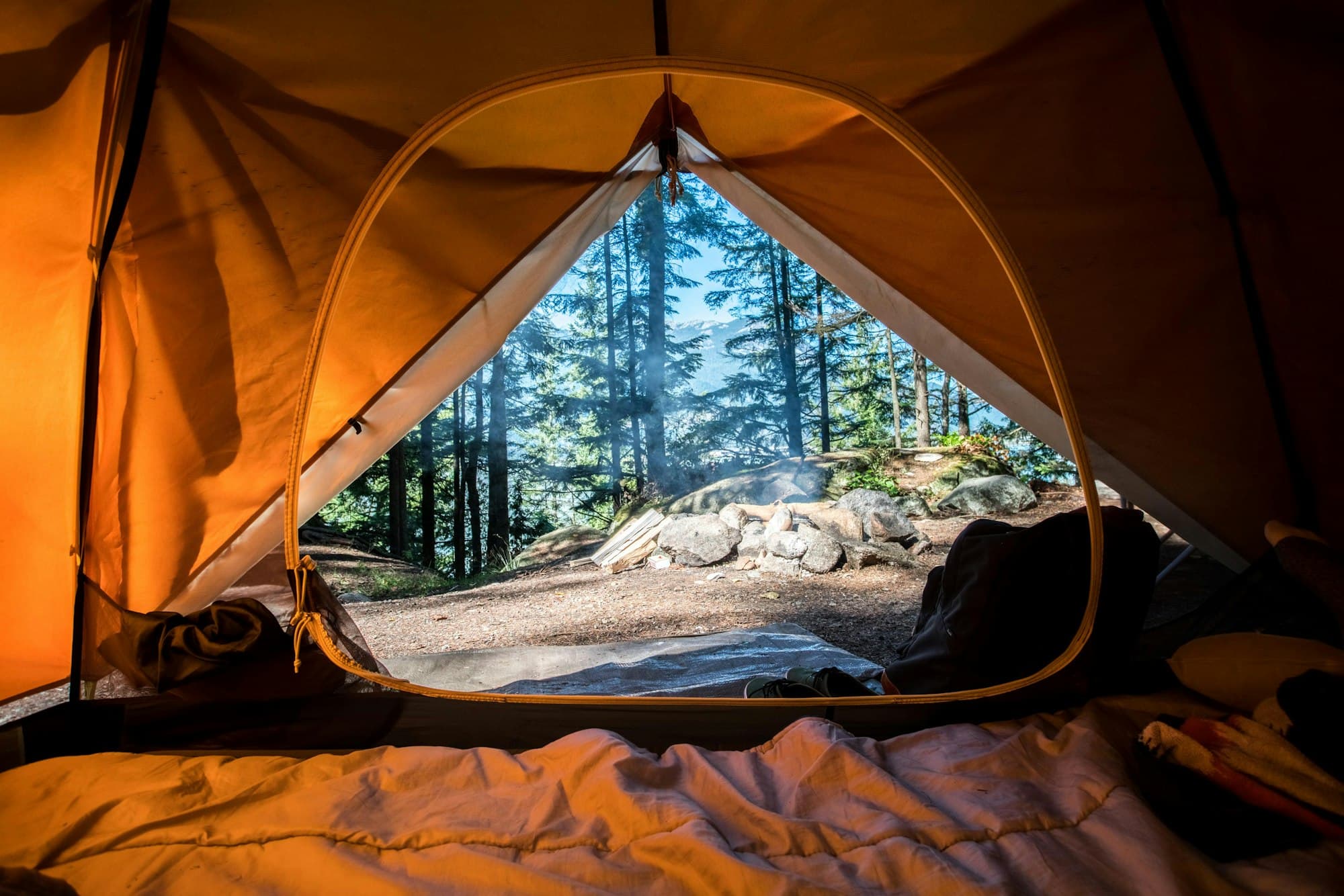 The view out of a tent onto a forest campsite