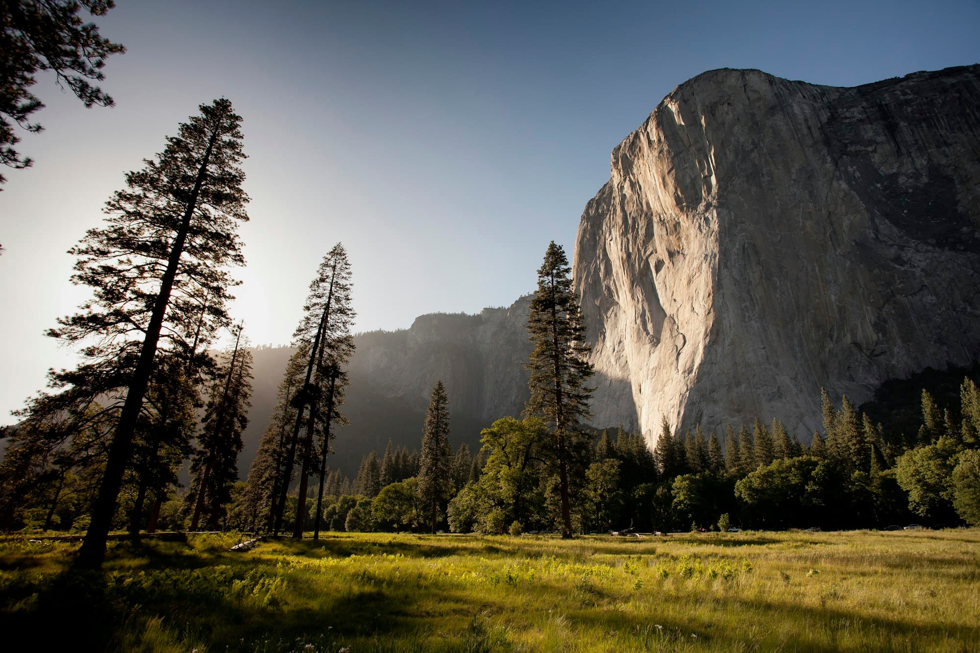 A granite wall rising over a forested valley meadow